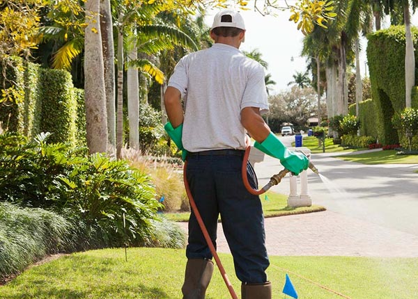 About Rouseville PA Pest Control Pros